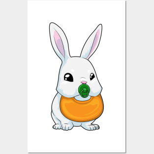 Rabbit Bib Pacifier Posters and Art